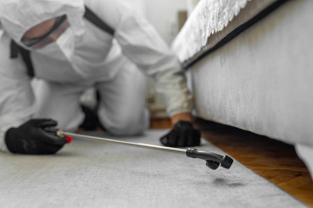 Professional Bed Bug Control technician working in Arnold Line, MS
