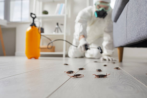 Trusted Cockroach Control service in Arnold Line, MS - Nex Pest Control