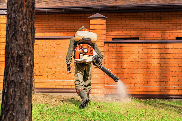 Trusted Mosquito Control service in Arnold Line, MS - Nex Pest Control